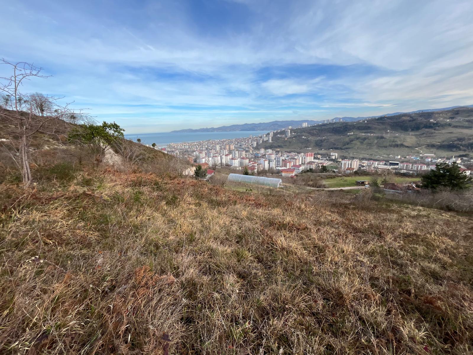 MABELDEN AYAZLI MAHALLESİNDE SATILIK 5 DÖNÜM ARAZİ